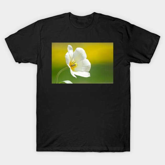 Tulip T-Shirt by EugeJ